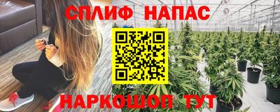 тгк Краснознаменск