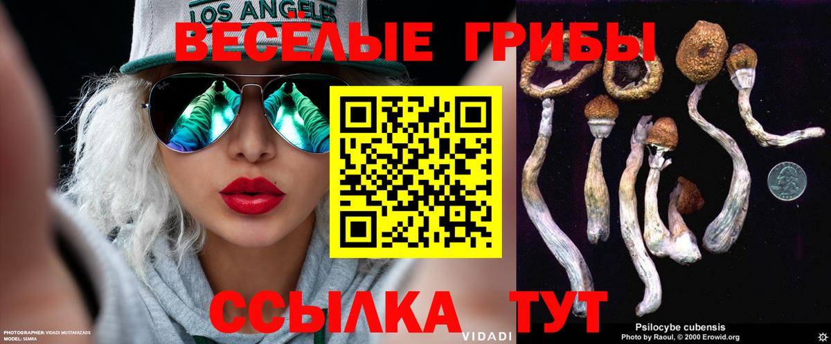 Псилоцибиновые грибы мухоморы  Вход с VPN  Гусев 