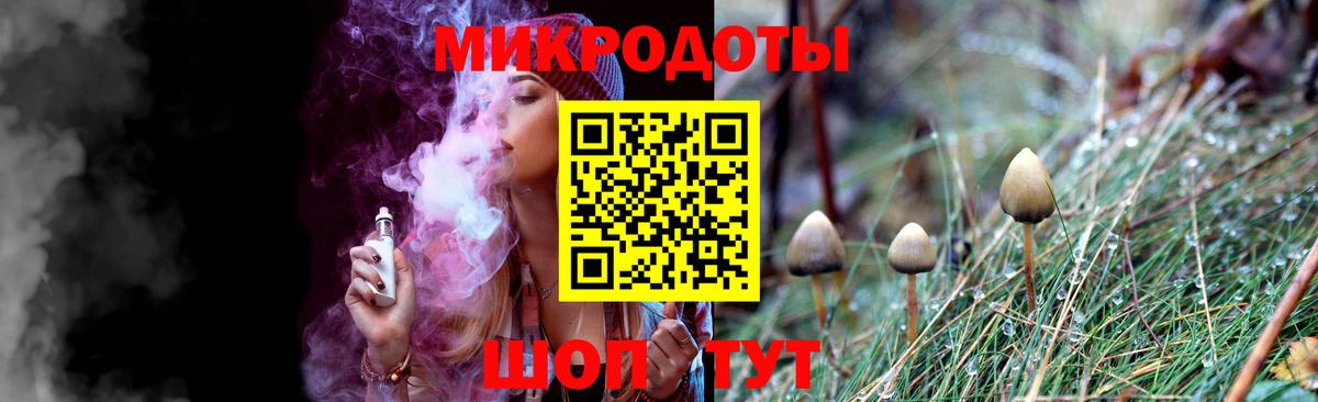 Псилоцибиновые грибы Cubensis Гусев
